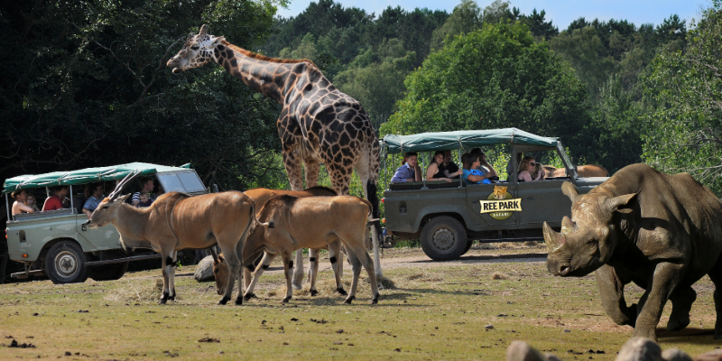 Ree Park Safari